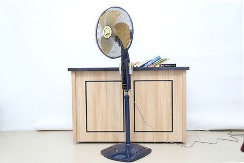 Quạt cây Panasonic F-407WGO 